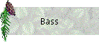 Bass