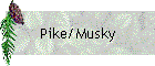 Pike/Musky
