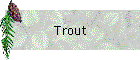 Trout