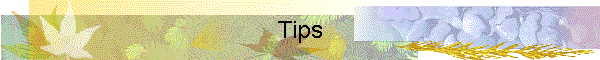 Tips